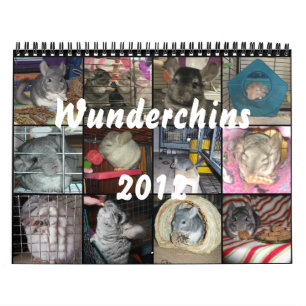 Calendario de Wunderchins 2012