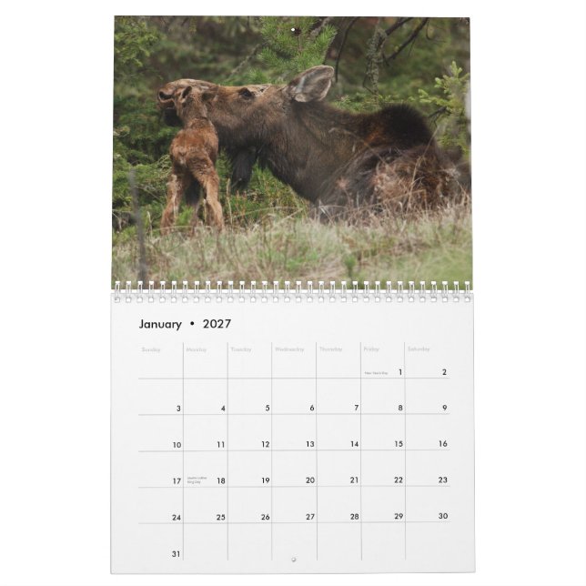 Calendario de Yellowstone 2010 (Jan 2027)