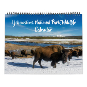 Calendario de Yellowstone de gran tamaño - Calenda