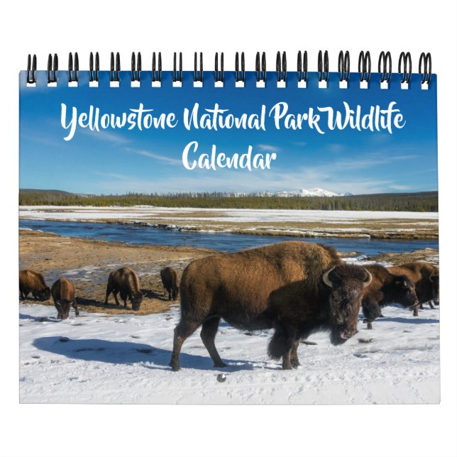 Calendario de Yellowstone de tamaño pequeño - Cale (Tapa)