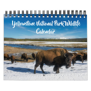 Calendario de Yellowstone de tamaño pequeño - Cale