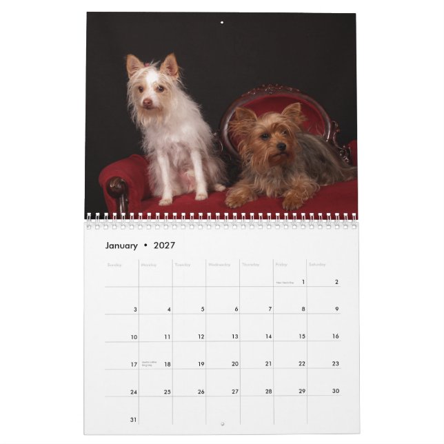 Calendario de Yorkie Friends 2013 (Jan 2027)