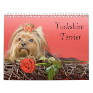 Calendario de Yorkshire Terrier