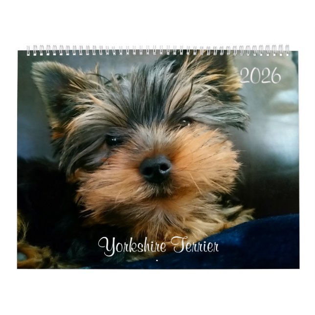 Calendario de Yorkshire Terrier Cute Yorkies 2024 (Tapa)