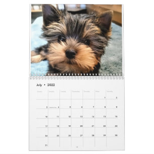 Calendario de Yorkshire Terrier Yorkies 2022