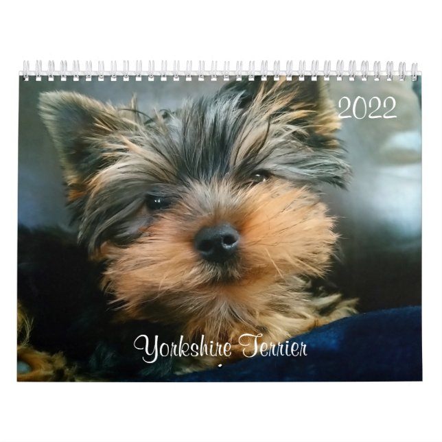 Calendario de Yorkshire Terrier Yorkies 2022 (Tapa)