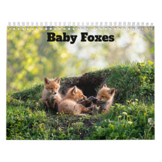 Calendario de zorritos 2027