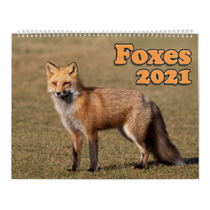 Calendario de zorros rojos 2021