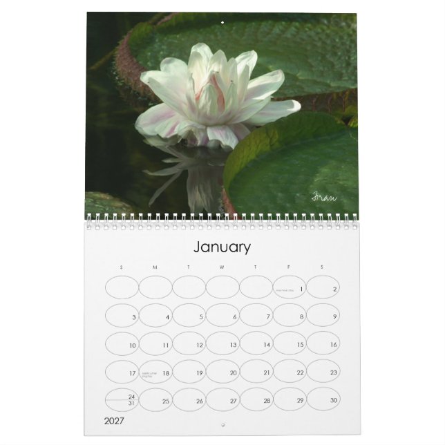 Calendario dejar que el 2013 brille en (Jan 2027)