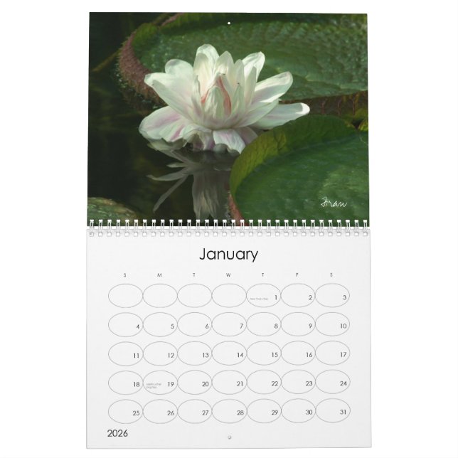 Calendario dejar que el 2013 brille en (Jan 2026)