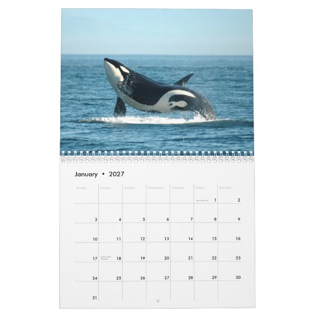 Calendario del ~ 2012 de las orcas (Jan 2027)