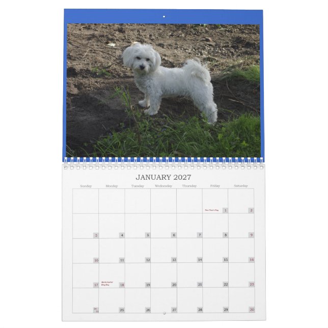 Calendario del algodón (Jan 2027)