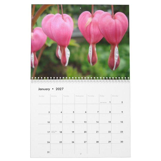 Calendario del ángel (Jan 2027)