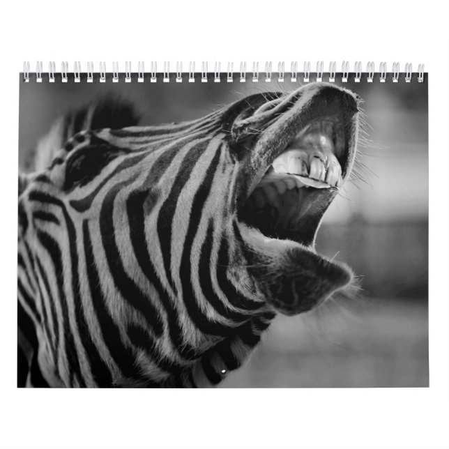 Calendario del animal de cebra B/W (Tapa)