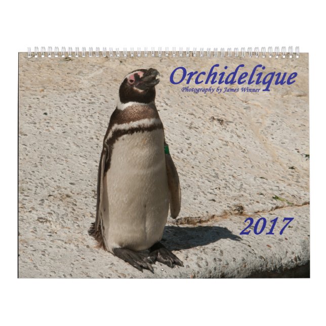 Calendario del animal de Orchidelique 2017 (Tapa)