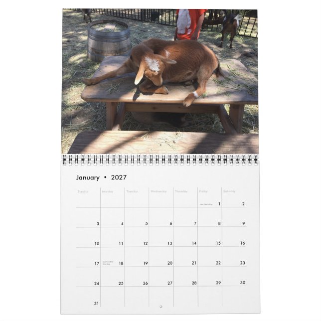 Calendario del animal del campo (Jan 2027)