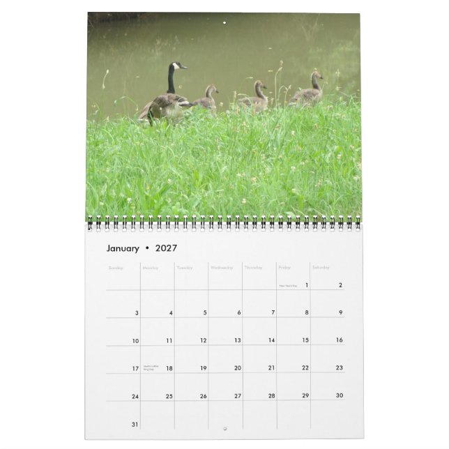 Calendario del animal salvaje (Jan 2027)