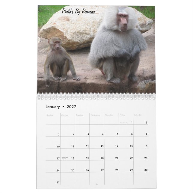 Calendario del animal salvaje por Ramona Taylor (Jan 2027)