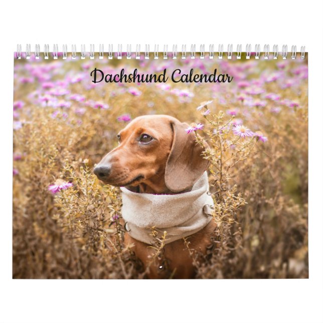 Calendario del año Personalizado de Dachshund (Tapa)