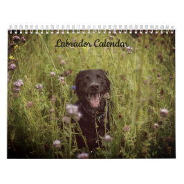 Calendario del año Personalizado de Labrador