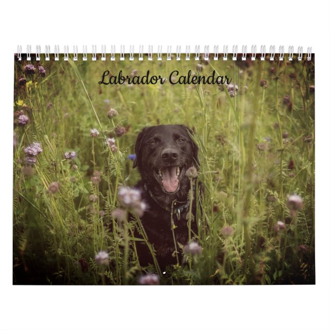 Calendario del año Personalizado de Labrador (Tapa)