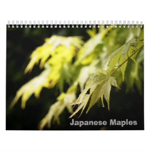 Calendario del arce japonés