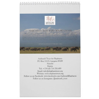 Calendario del baby boom de la Fundación Amboseli 
