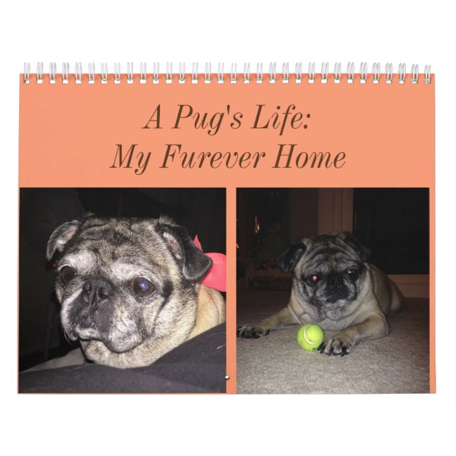 Calendario del barro amasado (Tapa)