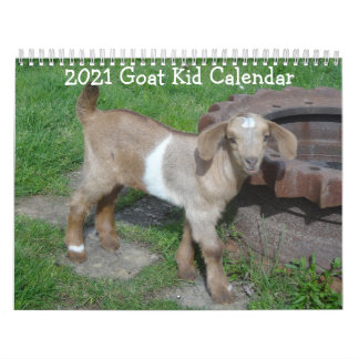 Calendario del bebé de cabra