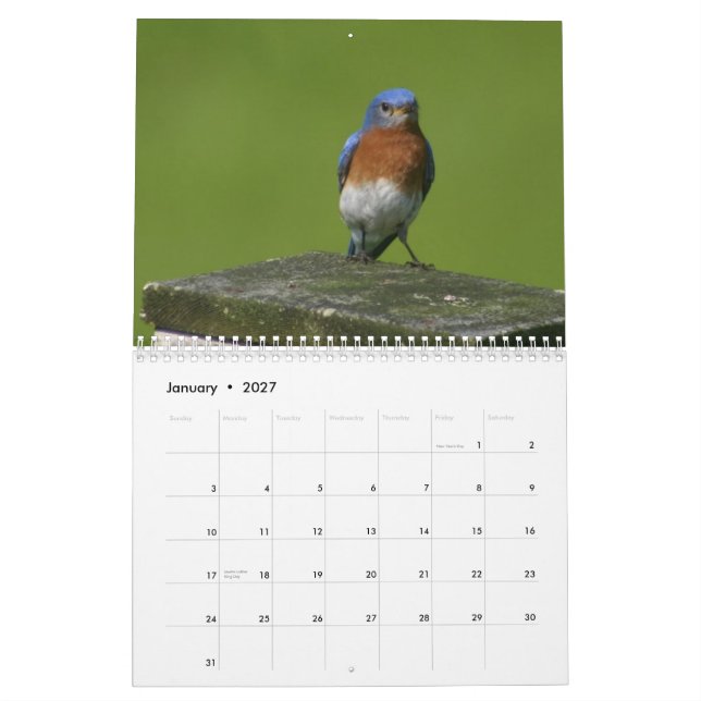 calendario del bluebird (Jan 2027)