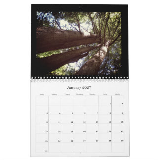 Calendario del Bosque de Secuoyas