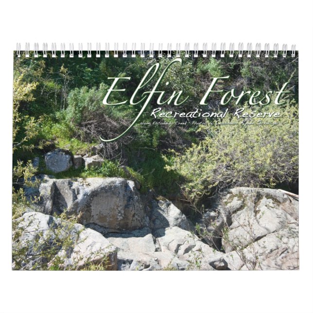 Calendario del bosque Elfin (Tapa)