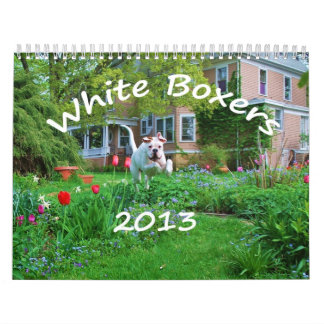 Calendario del boxeador de 2013 blancos