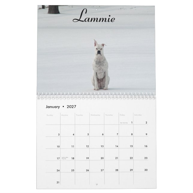 Calendario del boxeador de 2015 blancos (Jan 2027)