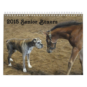 Calendario del boxeador de 2015 mayores