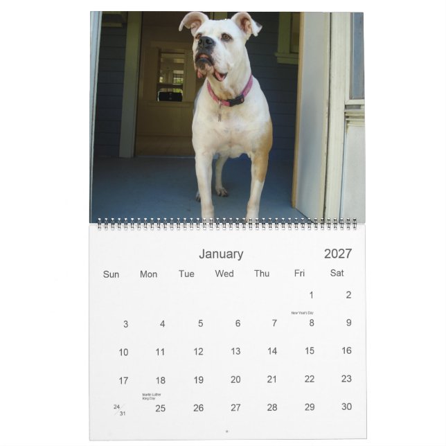 Calendario del bulldog de 2010 americanos (Jan 2027)