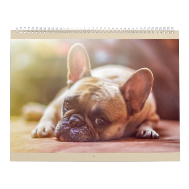 Calendario del bulldog francés (Tapa)