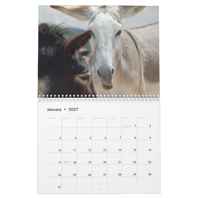 Calendario del Burro y del caballo (Jan 2027)