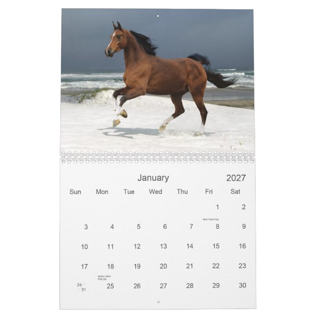 Calendario del caballo (Jan 2027)