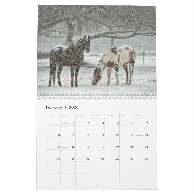 Calendario del caballo (Feb 2026)