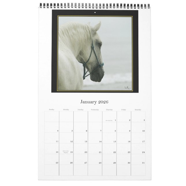Calendario del caballo - andaluz, Lipizzan frisio (Jan 2026)