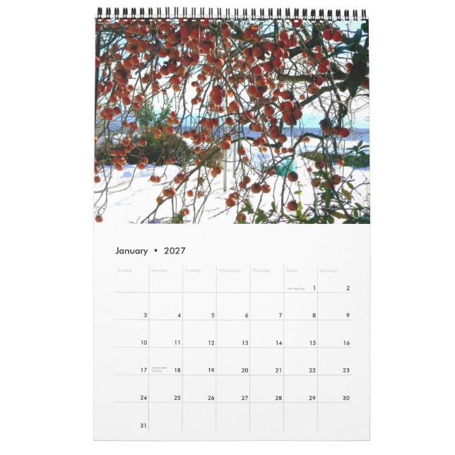 Calendario del campo japonés (Jan 2027)
