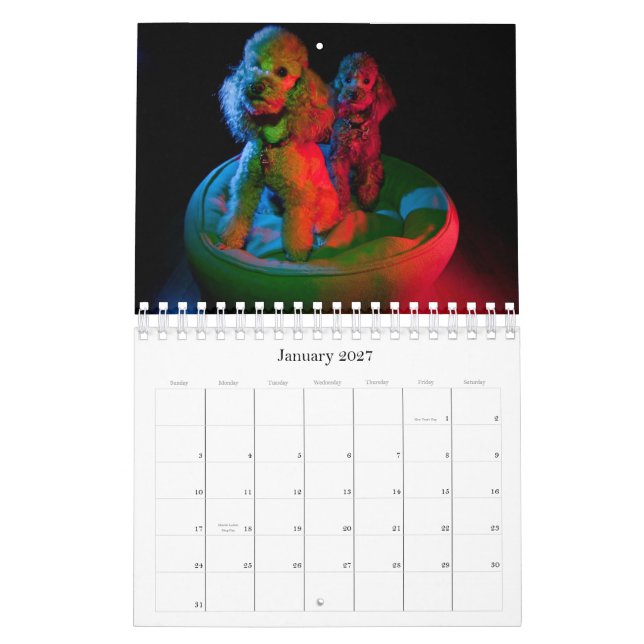 Calendario del caniche de juguete 2010 (Jan 2027)