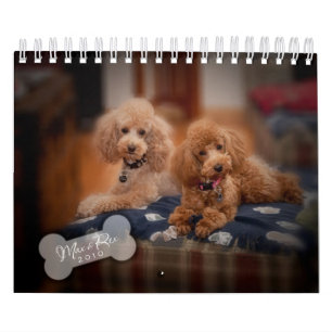 Calendario del caniche de juguete 2010