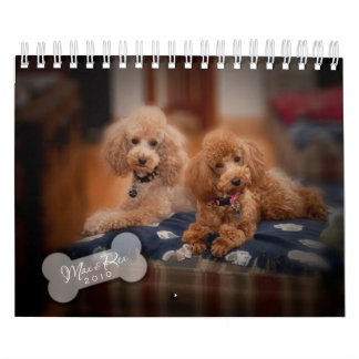 Calendario del caniche de juguete 2010