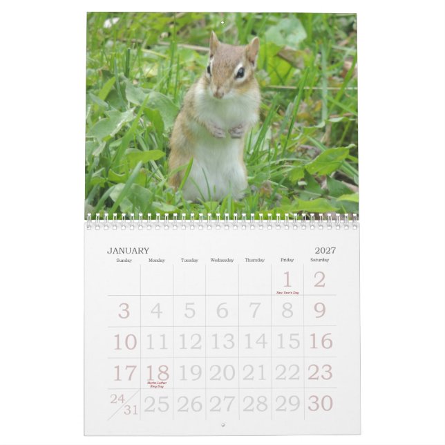 Calendario del Chipmunk (Jan 2027)