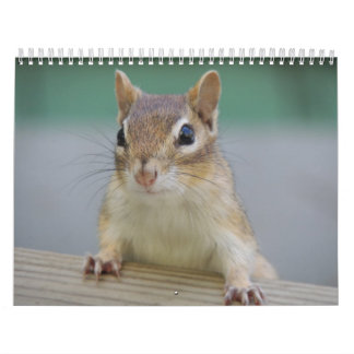 Calendario del Chipmunk