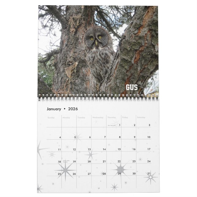 Calendario del club 2012 del rapaz de WSU (Jan 2026)