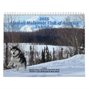 Calendario del Club de América Malamute de Alaska 