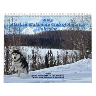 Calendario del Club de América Malamute de Alaska